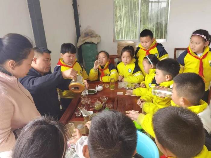 关于茶文化从娃娃抓起，林城苗苗学校开展“茶叶研学”的热门新闻(8)