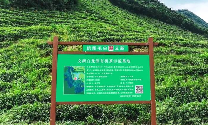 有关于每一片文新茶叶,都有属于自己的生态茶园的热门资讯(6)