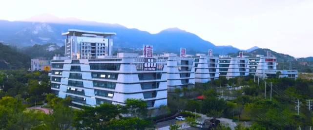 关于央视现场连线安溪,介绍茶园病虫害生物防治等“硬核科技”的最新资讯(3)