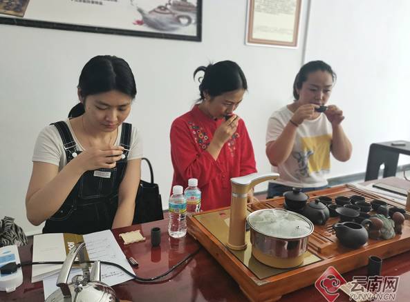 关于云南绿春：培育茶叶“领头雁” 以产业先行推动乡村振兴的消息(1)