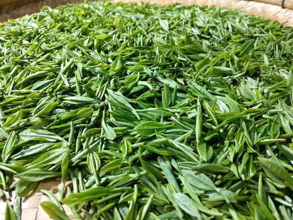 关于推动茶业新零售业态变革，超级社区助力茶企突围发展的热门消息(1)