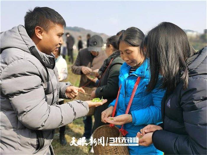 关于贵州普安召开全县茶产业带建设现场推进会的消息(3)