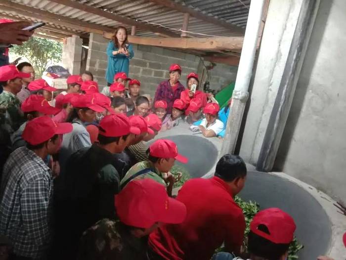 关于墨江新抚镇:春茶岭上香 茶农采摘忙碌碌的资讯(14)