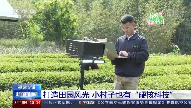 关于央视现场连线安溪,介绍茶园病虫害生物防治等“硬核科技”的最新资讯