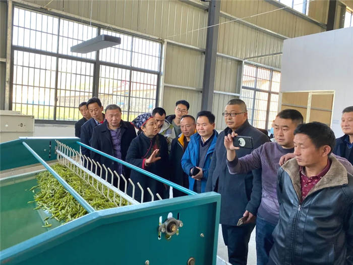 关于岳西县农业农村局副局长方再友一行赴泾县考察交流茶业发展的消息(2)