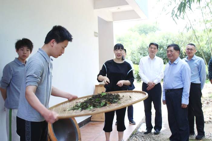 关于海峡两岸茶业交流协会会长陈绍军等一行深入武夷山调研茶产业的新闻(2)