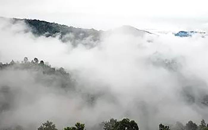 有关于一周热门：区块链技术助力普洱茶，“一带一路”年度汉字中茶预告，郑州、湖南、厦门茶博览会开幕的资讯(7)