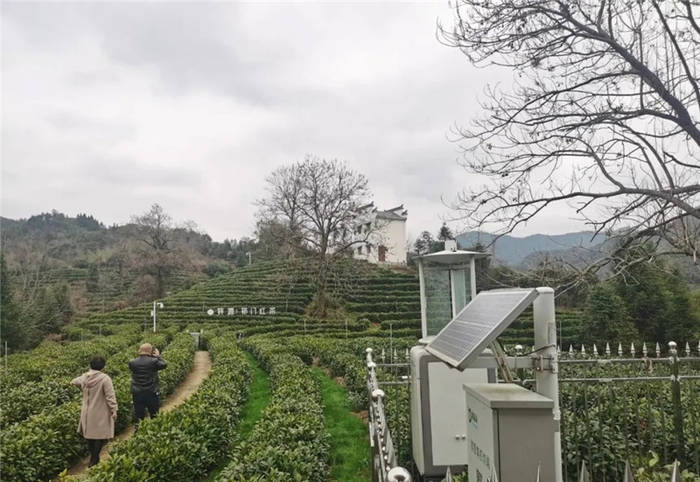 关于安徽：六安市茶协赴黄山考察交流茶产业发展的信息(2)