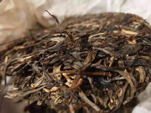 关于2021年度茶行业流行趋势分析及价格区间预测参考的信息(6)