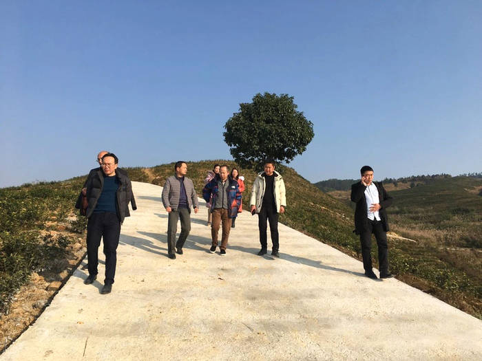 有关于四川省茶叶行业协会一行调研广安茶产业发展规划的最新资讯