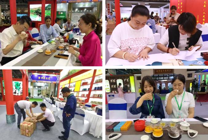 关于创新花果香型坦洋工夫亮相“国展”,百年工夫红茶再出发!的最新信息(6)