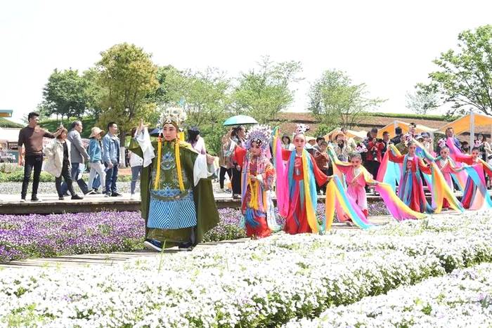 有关于中国有机茶之乡武义，一片茶叶拉动全产业链的热门新闻(7)