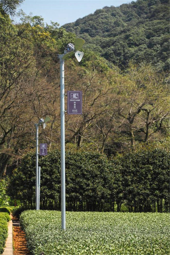 有关于春茶到！浙江几十个产茶区县春茶陆续开采的热门资讯(14)