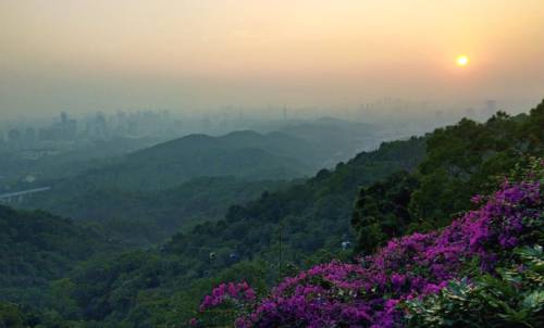 有关于2021年首届白云山大茶会，合和昌携臻品好茶亮相的最新消息