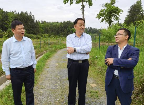 有关于2021中国（黄山）茶业发展大会及茶产业高质量发展主题论坛成功举行的信息(14)