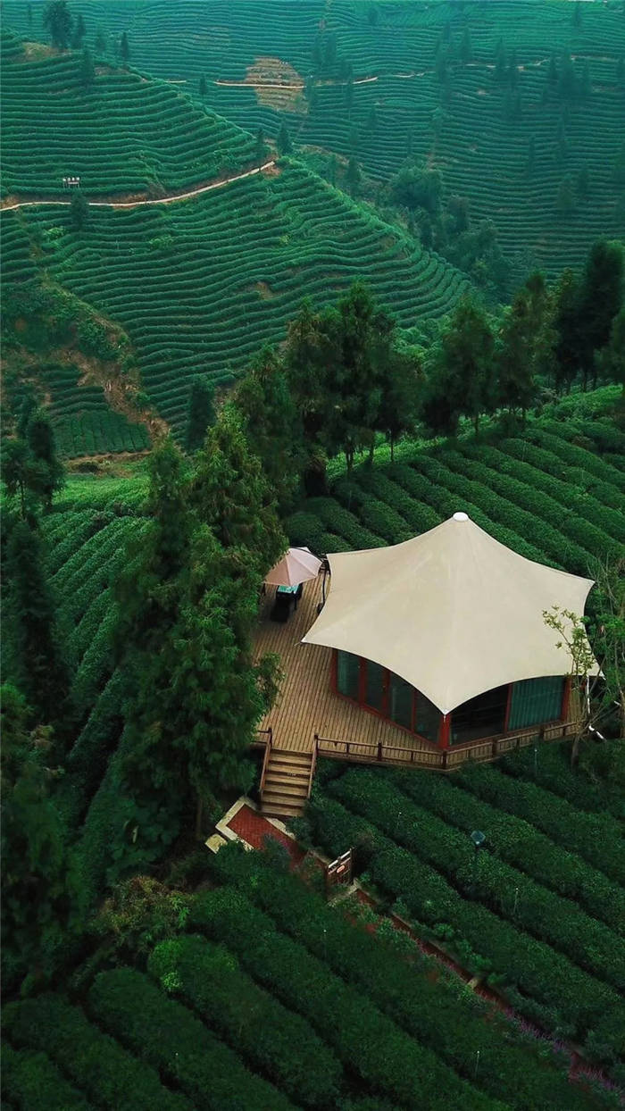 关于坐拥万亩茶田,来四川雅安解锁春日限定耍法的最新信息(35)