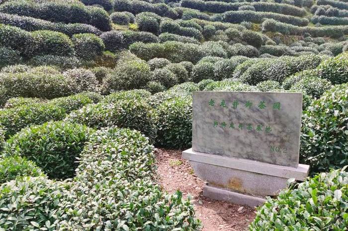 关于华春莹点赞杭州！外国朋友也被惊艳到了：“味道好极了……”的热门消息(4)