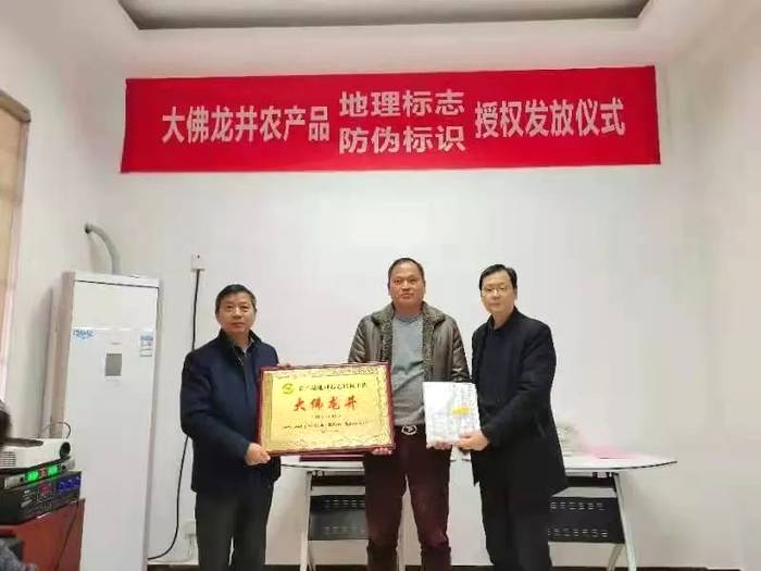 关于大佛龙井正式启动使用农产品“双标”授权仪式的热门资讯(21)