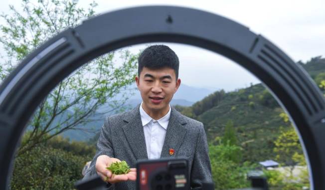 关于杭州富阳区高山云雾茶采摘季 多举措助力茶农增收的热门资讯(1)