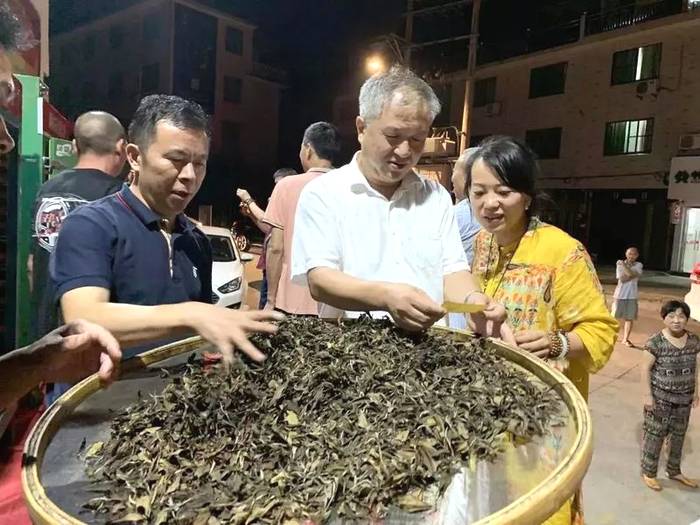 关于福鼎白茶市场产销两旺:这些数据带你揭秘"内幕"的热门资讯