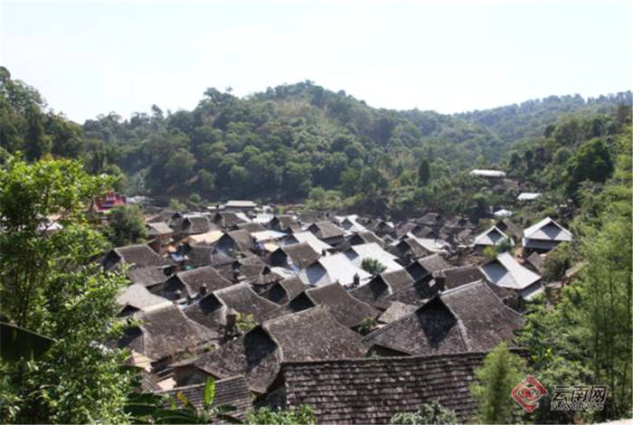 有关于云南景迈山古茶林文化景观被国务院批准为中国2022年正式申遗项目的热门新闻(3)