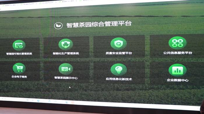 有关于5G赋能坦洋工夫跨越式发展，“智慧茶园”成效显著的新闻(1)