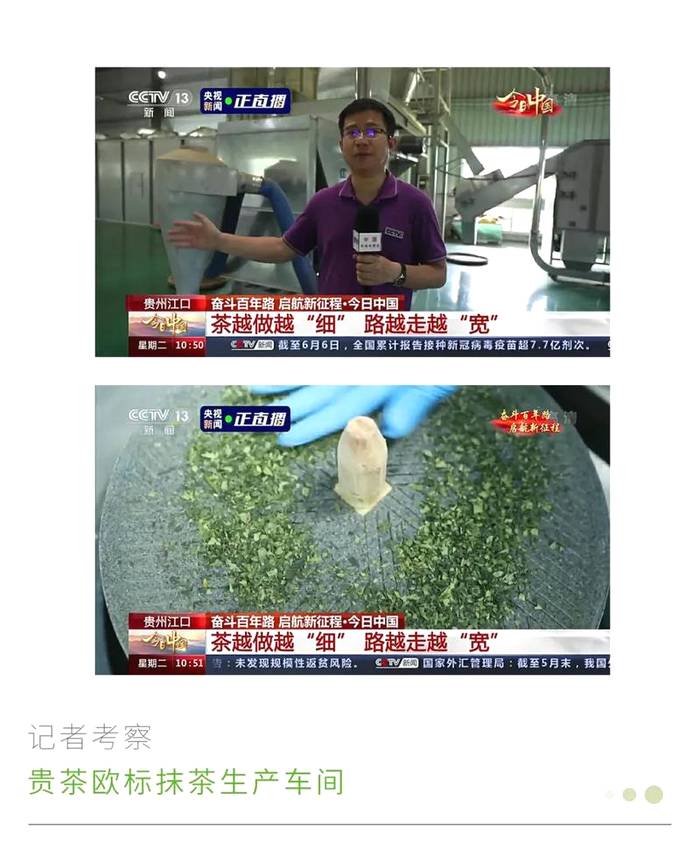 关于被央视新闻点赞的贵州抹茶,把中国抹茶带给世界的热门资讯(3)