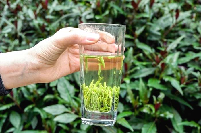 关于56000次采摘方得1斤!火出国门的三峡毛尖,天然清香!的最新资讯(20)