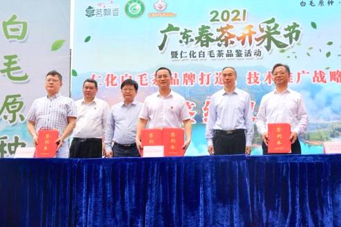 有关于广东春茶上新产销两旺,茶农们迎来“富口袋”的热门消息(4)