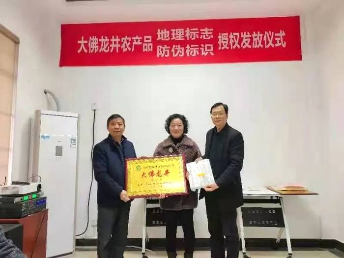 关于大佛龙井正式启动使用农产品“双标”授权仪式的热门资讯(17)