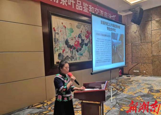 关于“好水遇好茶 茶香飘泉城” 湘西优质茶叶成为山东济南消费“爆款”的最新资讯(6)