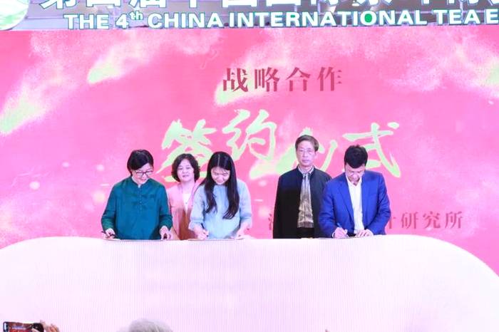 关于解密茶叶中的健康密码，助推茶叶深加工发展的热门信息