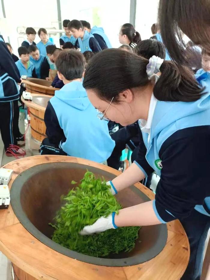 有关于亲近自然、拥抱茶园|“林城苗苗+茶叶研究所”茶研学进行时的最新资讯(8)