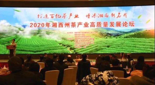 关于2020年湘西州茶产业高质量发展论坛在吉首举行的热门信息(10)