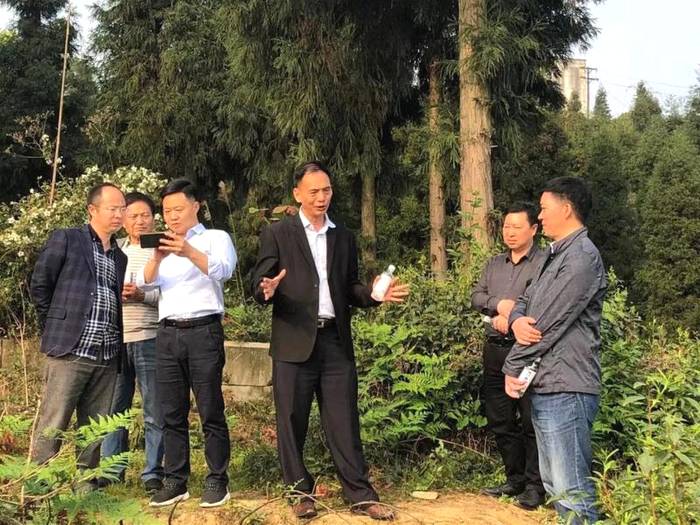 关于2021重庆大足首届“古龙茶文化节”暨乡村旅游民俗展演展销活动纪实的新闻(21)