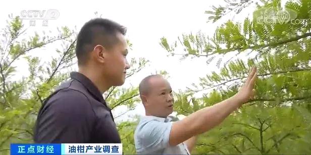 有关于一杯茶，带火了这种小众水果！身价飙涨10倍，价格一天三变？的热门新闻(9)