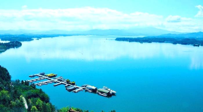 有关于发展绿色茶园,建设美丽茶乡,助推乡村振兴的信息(4)