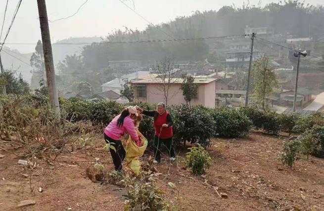 有关于“呵护”普洱茶产业健康发展系列报道（四）的热门资讯(4)