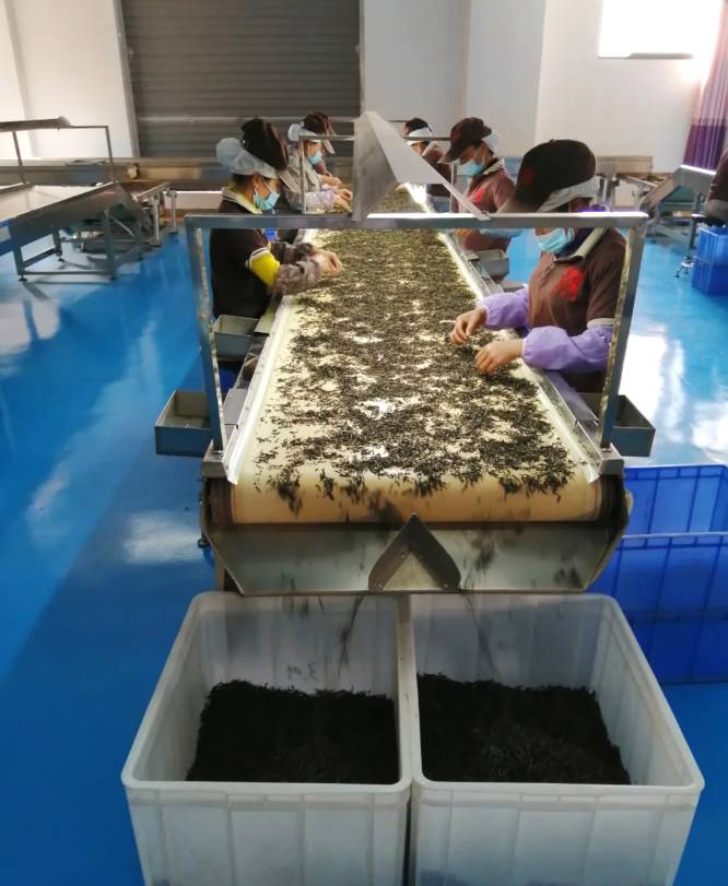 有关于“呵护”普洱茶产业健康发展系列报道（三）的热门新闻(3)