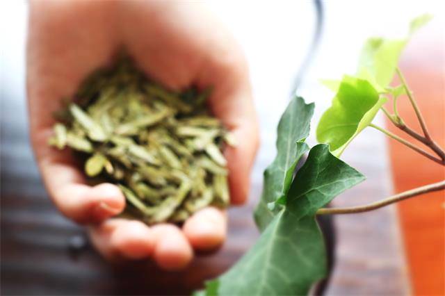 有关于杭州拟将3月31日设为“西湖龙井茶节”的最新消息