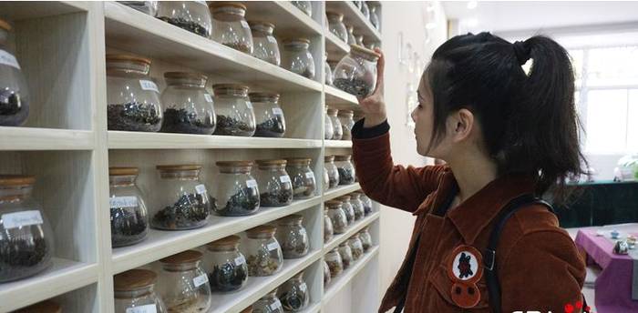 有关于中外网红在信阳:赴一场茶香之旅 看“小茶叶”如何托起“大产业”的资讯(1)