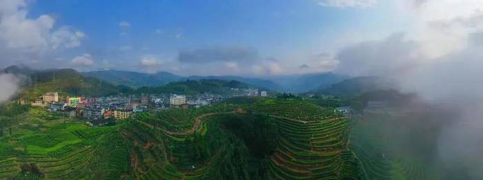 关于狠抓品质 提升品牌，寿宁高山红茶摘得“金质奖章”的热门消息