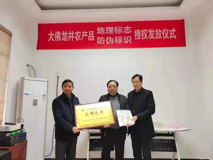关于大佛龙井正式启动使用农产品“双标”授权仪式的热门资讯(12)