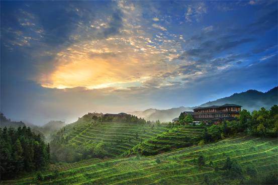 有关于“茶庄园+”模式的茶旅融合怎么做，来看看中国首个茶庄园标准制定者的示范的热门消息(3)