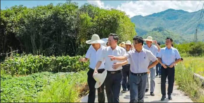 关于被“统一”相中的茶企打造原叶茶“新宠”的最新信息(2)