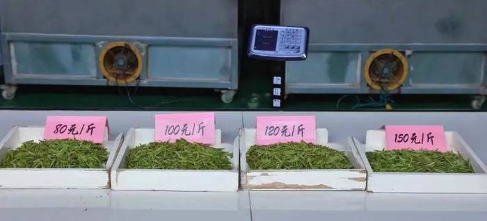 关于唱响“云上五峰 从“茶产业大县”  向“茶产业强县”  稳步迈进的热门资讯(2)