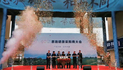 关于湖北：2021恩施硒茶采购商大会在恩施市硒茶小镇举行的热门新闻
