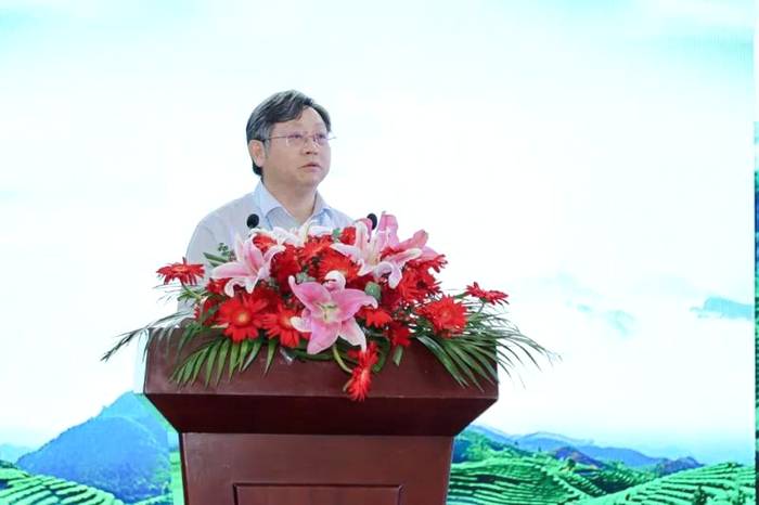 关于专家说徽茶：桐城小花、泾县兰香、黄花云尖......的资讯