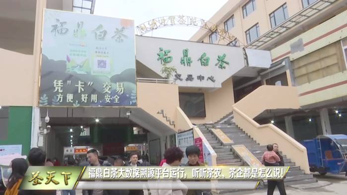 关于福鼎白茶大数据溯源平台正式运行，听听茶农茶企都是怎么说！的热门新闻(1)