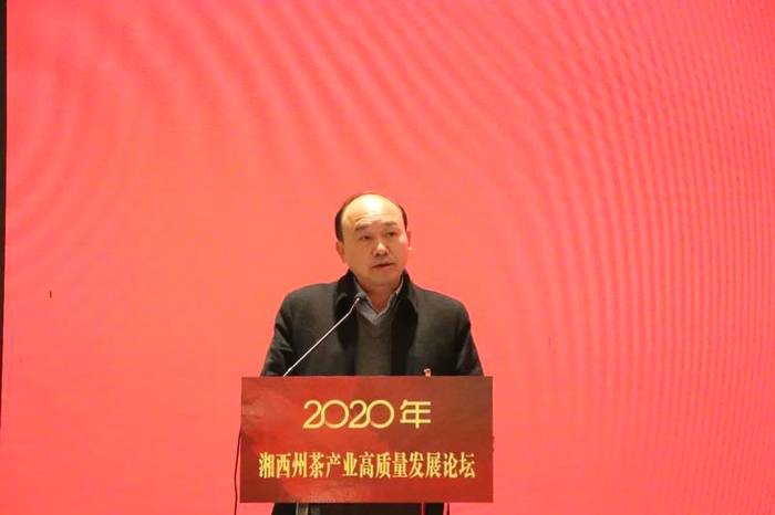 关于2020年湘西州茶产业高质量发展论坛在吉首举行的热门信息(2)